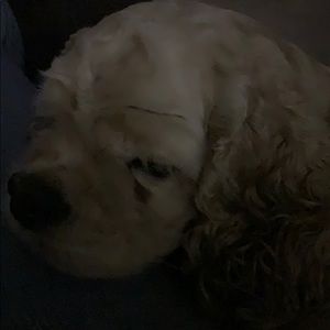 Meet your Posher, Carlos